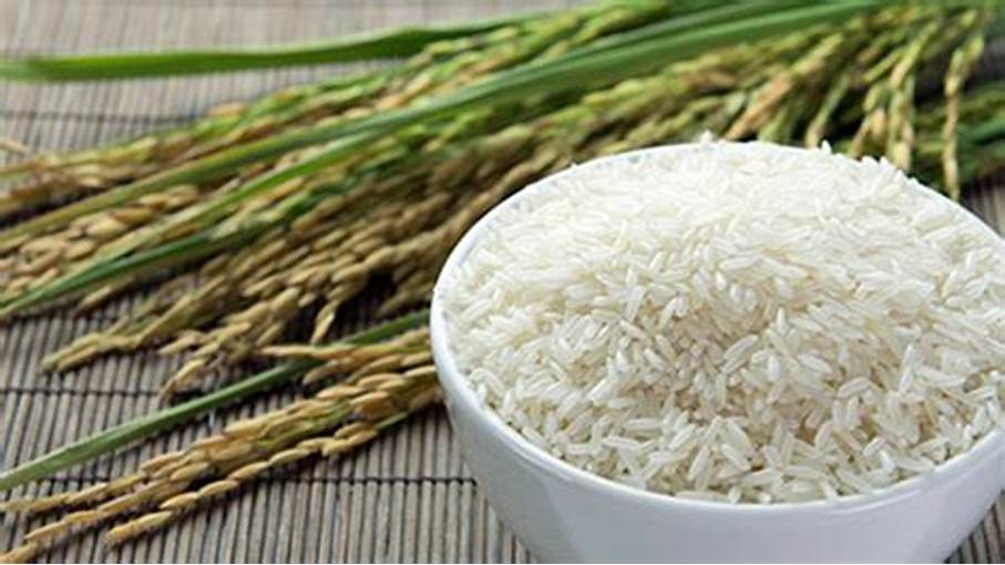 Giá gạo trong nước hôm nay