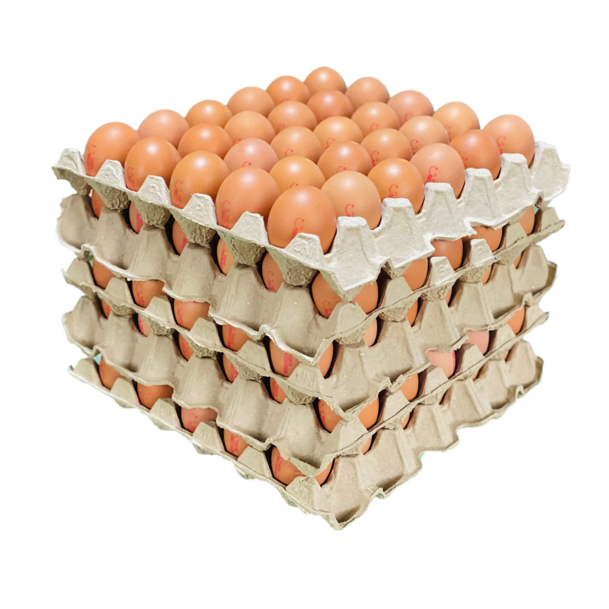 Trứng gà chất lượng để xuất khẩu