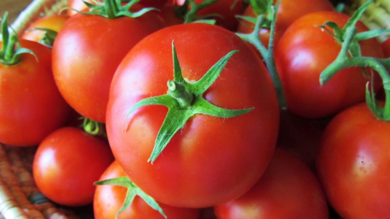Những yếu tố ảnh hưởng đến giá cà chua