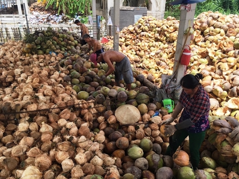 Nhu cầu tiêu thụ và sử dụng dừa khô trên thị trường 