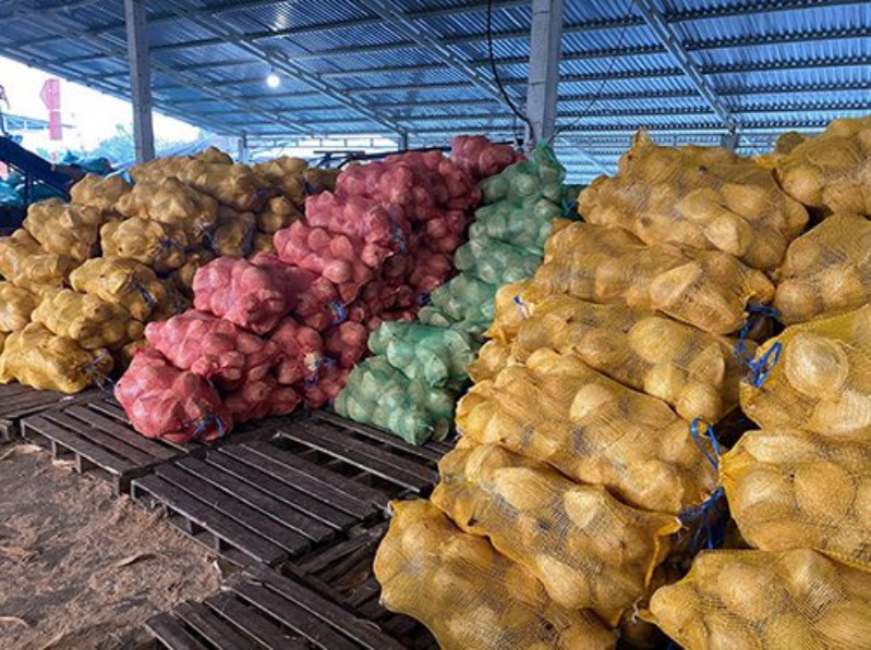 Tình hình xuất khẩu giá cả của dừa khô