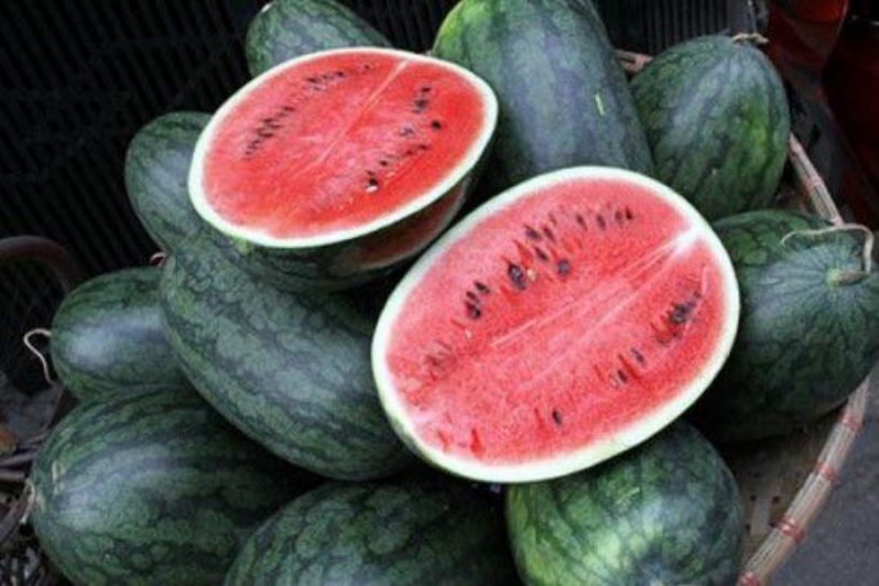 Những yếu tố ảnh hưởng đến giá dưa hấu
